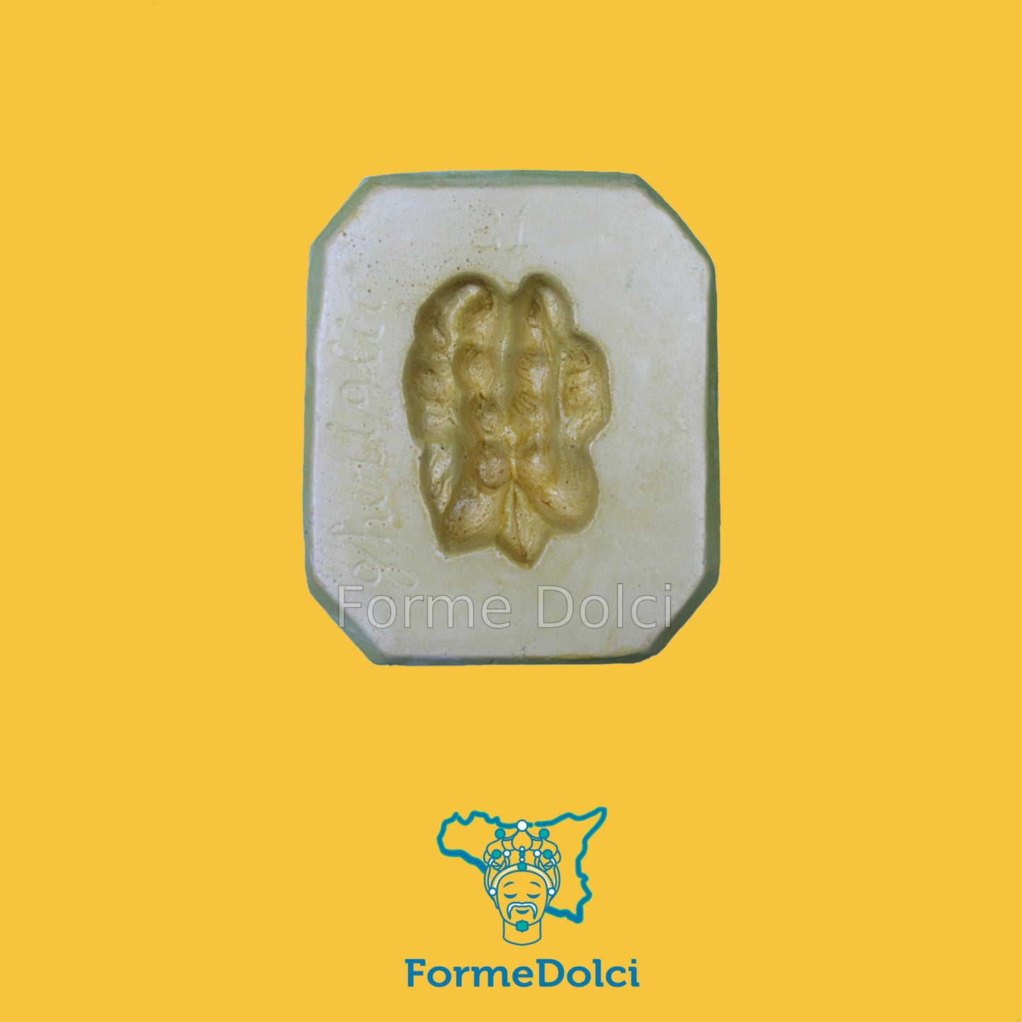 Stampo in gesso - Gheriglio