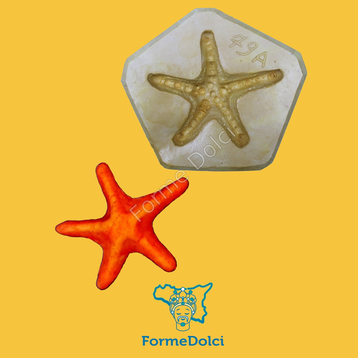 Stampo in gesso - Stella marina