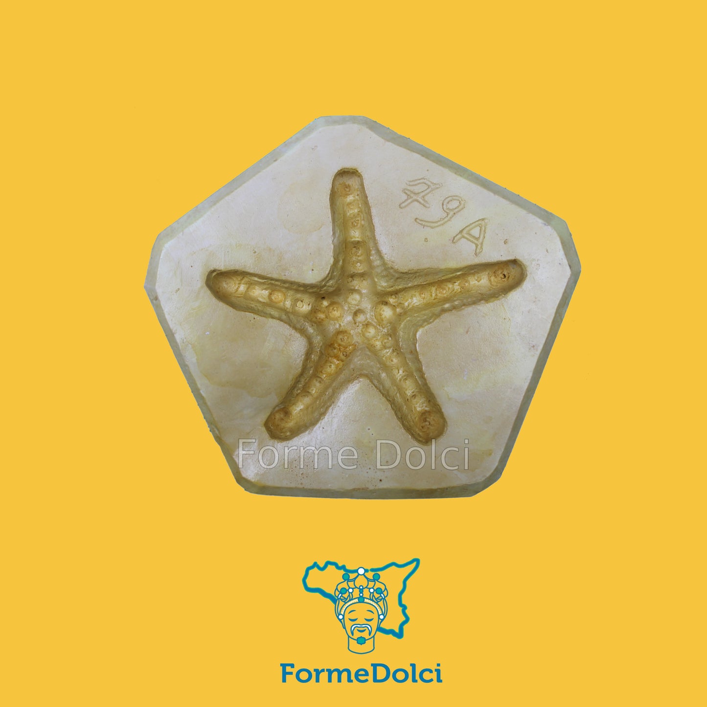 Stampo in gesso - Stella marina
