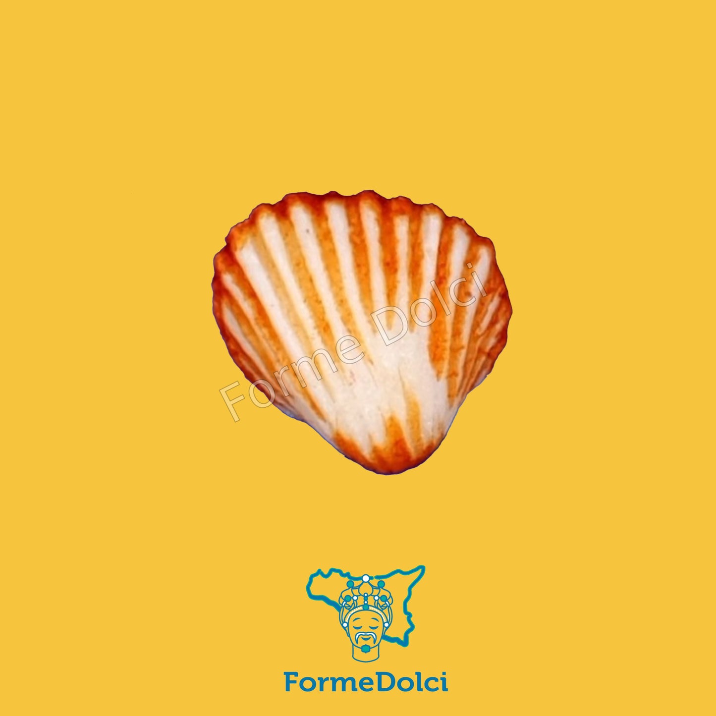 Stampo in gesso - Conchiglia