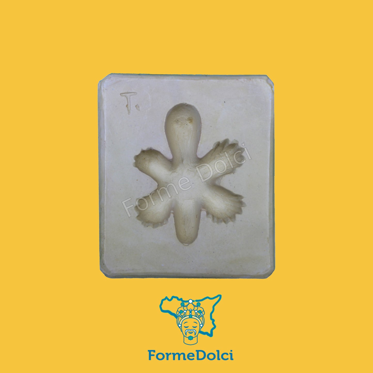 Stampi in gesso - Tartarughina