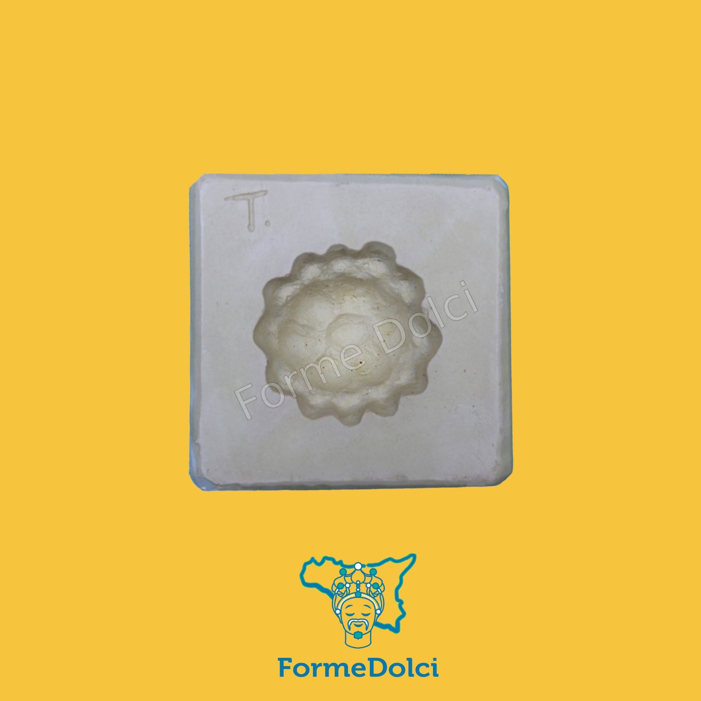 Stampi in gesso - Tartarughina