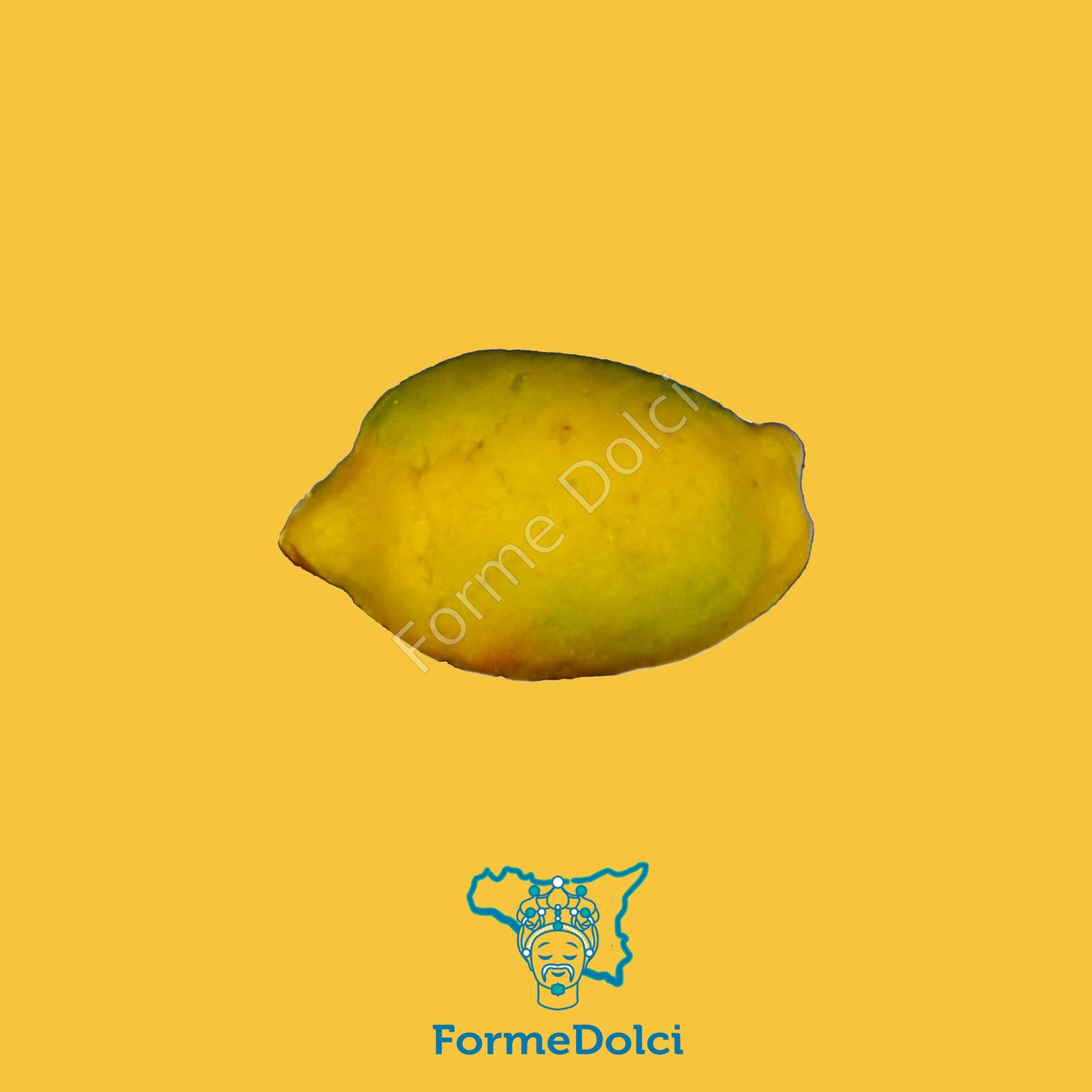 Stampo in gesso - Limone