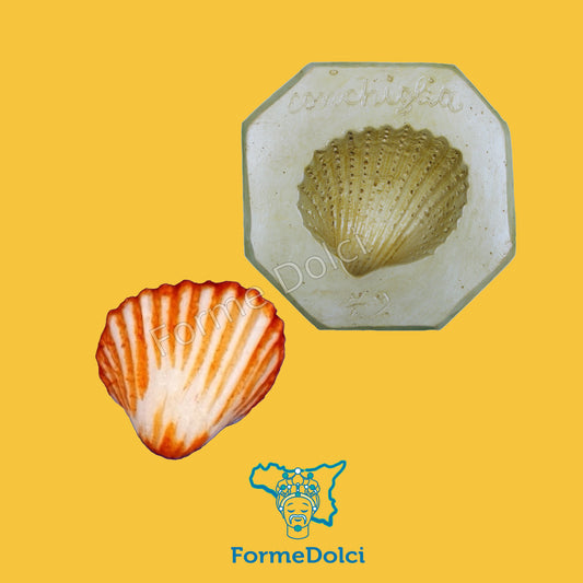 Stampo in gesso - Conchiglia