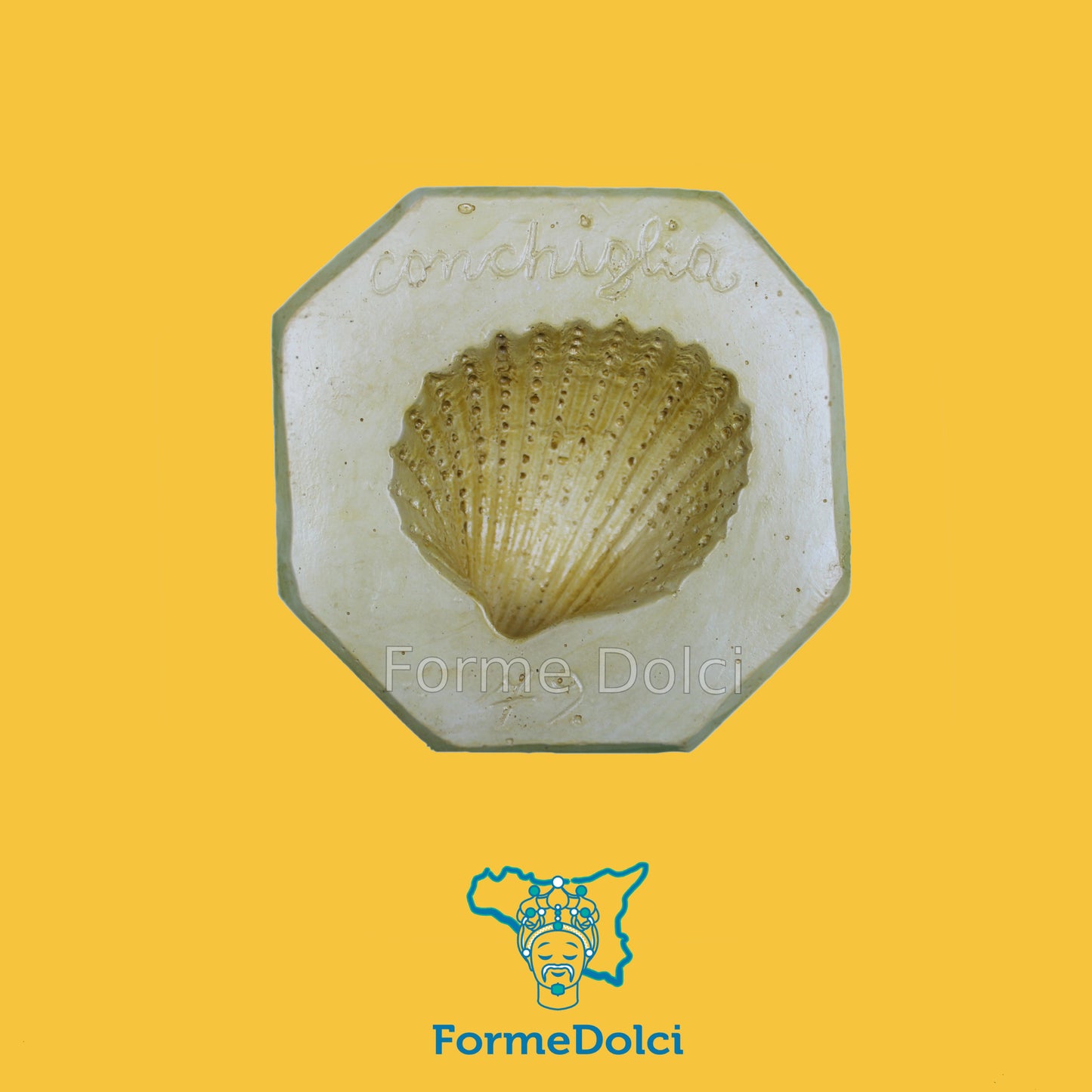 Stampo in gesso - Conchiglia