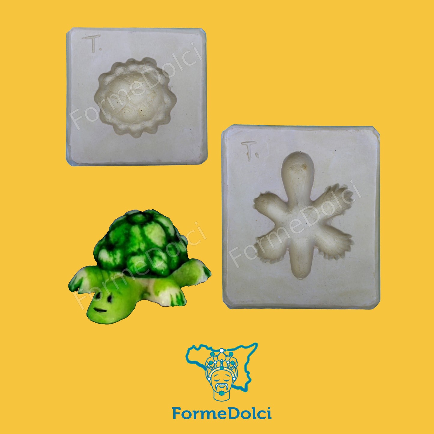 Stampi in gesso - Tartarughina